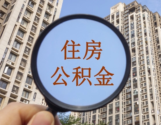 贵阳退休后查不到公积金明细了吗（退休后公积金查询不到原因）